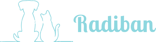 Radiban